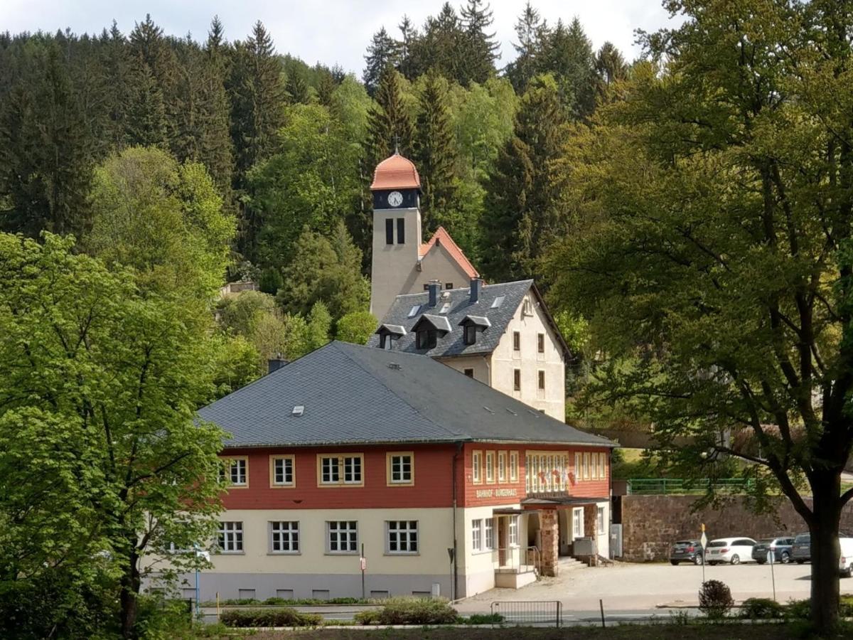Villa Angelika Алтенберг Източен Ерцгебирге Екстериор снимка