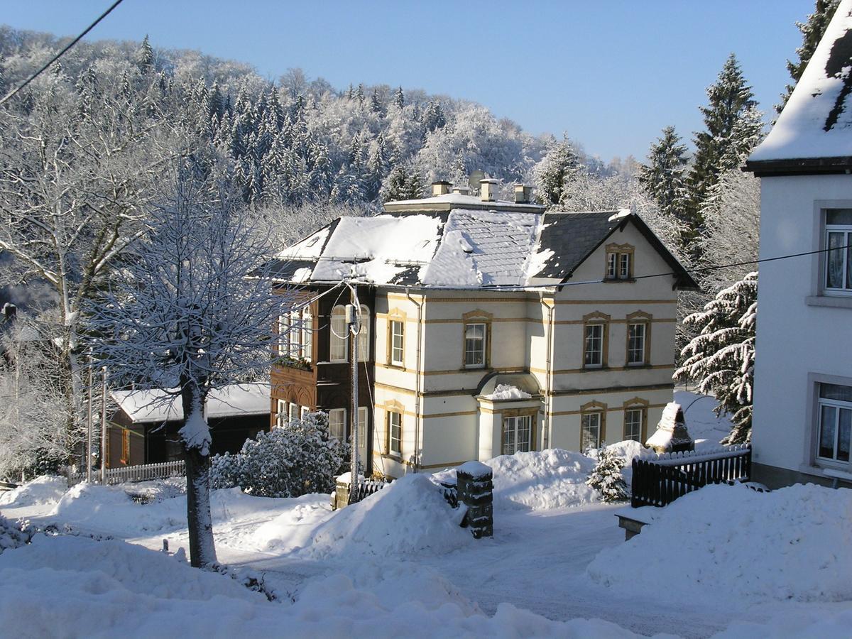 Villa Angelika Алтенберг Източен Ерцгебирге Екстериор снимка