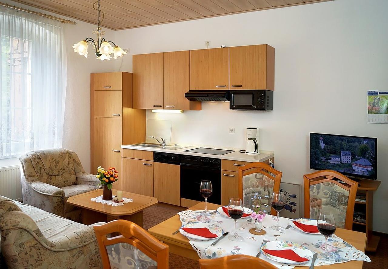 Villa Angelika Алтенберг Източен Ерцгебирге Екстериор снимка