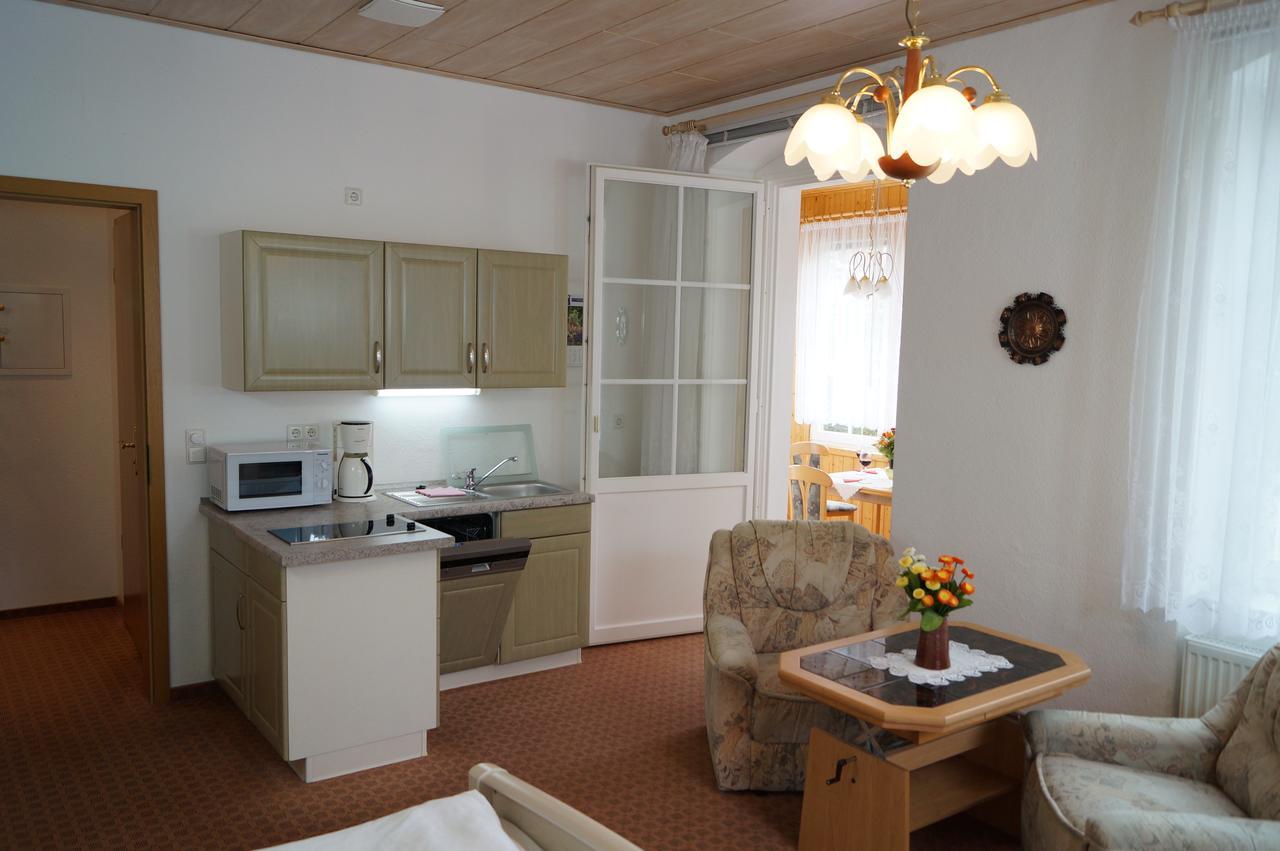 Villa Angelika Алтенберг Източен Ерцгебирге Екстериор снимка