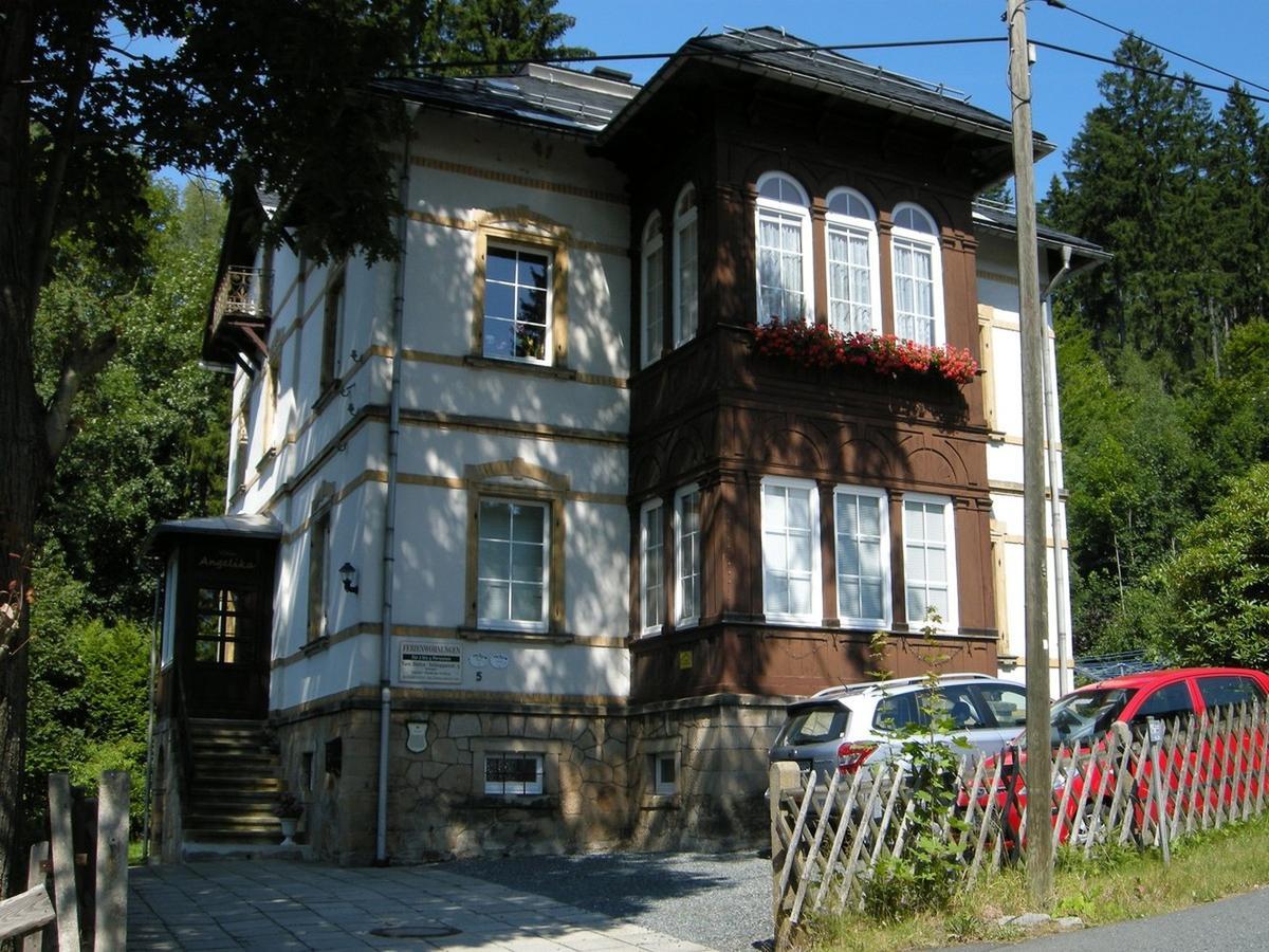 Villa Angelika Алтенберг Източен Ерцгебирге Екстериор снимка