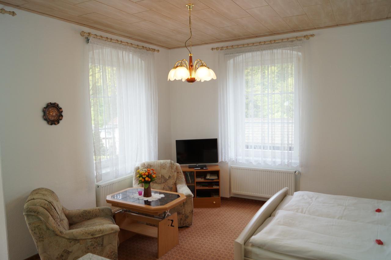 Villa Angelika Алтенберг Източен Ерцгебирге Екстериор снимка