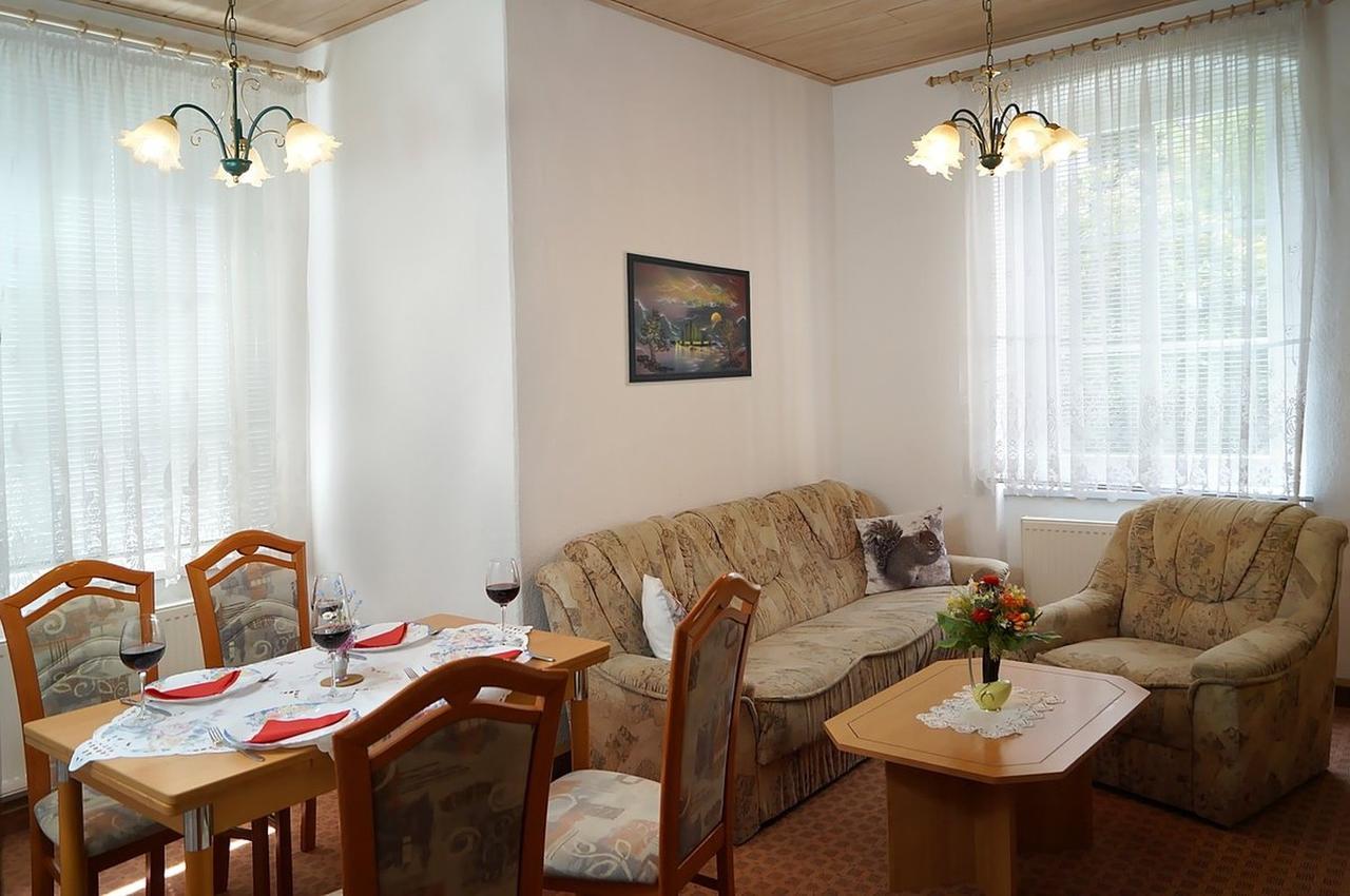 Villa Angelika Алтенберг Източен Ерцгебирге Екстериор снимка