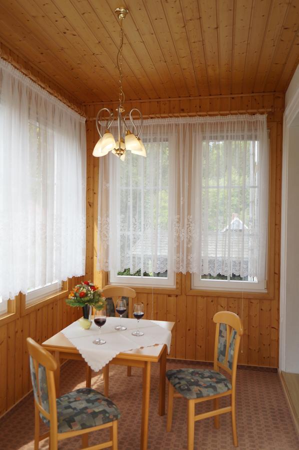 Villa Angelika Алтенберг Източен Ерцгебирге Екстериор снимка