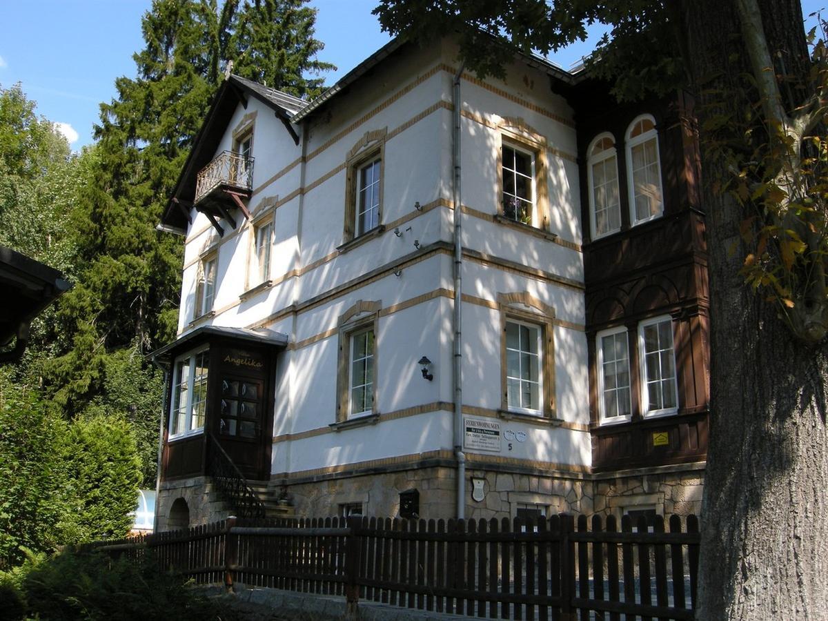 Villa Angelika Алтенберг Източен Ерцгебирге Екстериор снимка