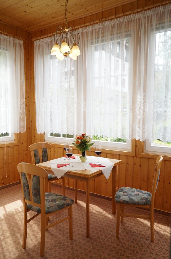 Villa Angelika Алтенберг Източен Ерцгебирге Екстериор снимка
